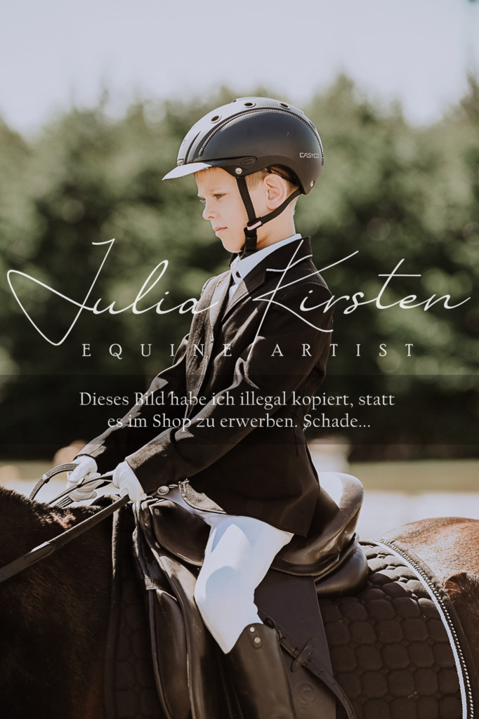 DSC_7962 | Pferde- und Turnierfotografie in Westsachsen. Pferdeportraits, Auftragszeichnungen und intuitive Kunst.