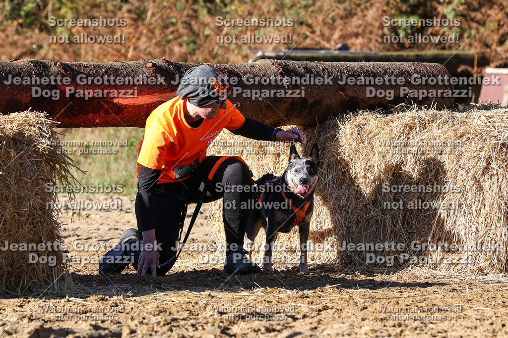 Dog Paparazzi - Strongdog 10-25-1802 | Dog Paparazzi Jeanette Grottendiek Fotografie & Videografie - Realisiert mit Pictrs.com