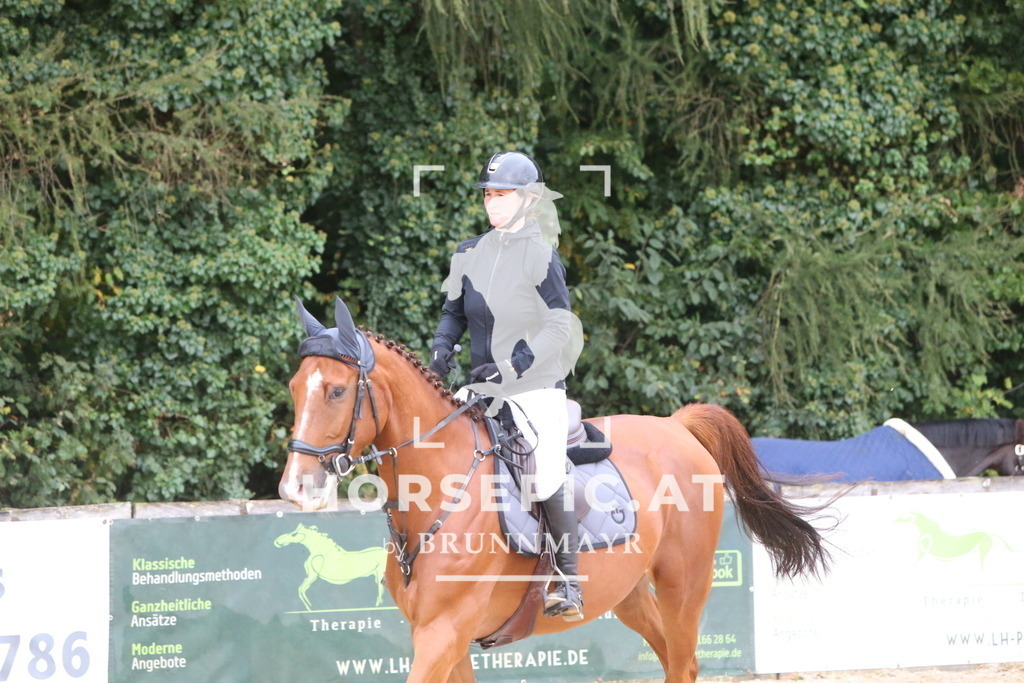 DL2Q0276 | Willkommen bei Brunnmayr - Design & Fotografie – Ihrem Spezialisten für Reitturniere und Pferdeveranstaltungen in Oberösterreich, Salzburg und Bayern! Seit über 17 Jahren sind wir leidenschaftlich dabei.