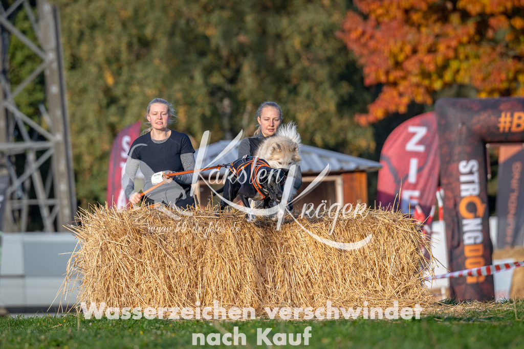 0914_ZZ90154 | kk-dogfotos