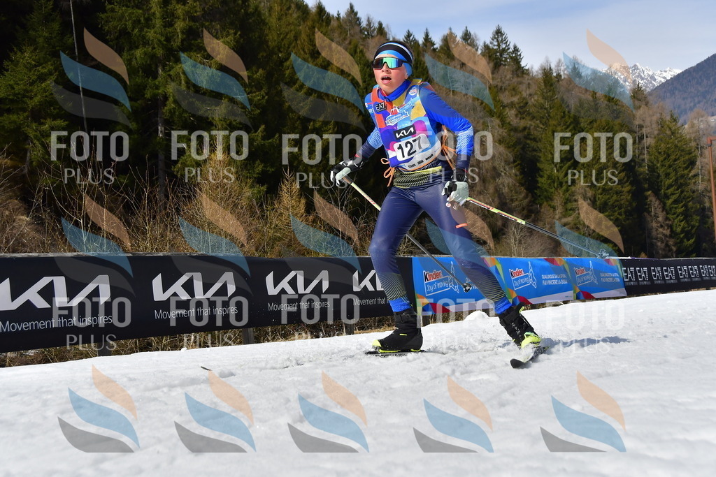 _DSC0187 | holidayphoto