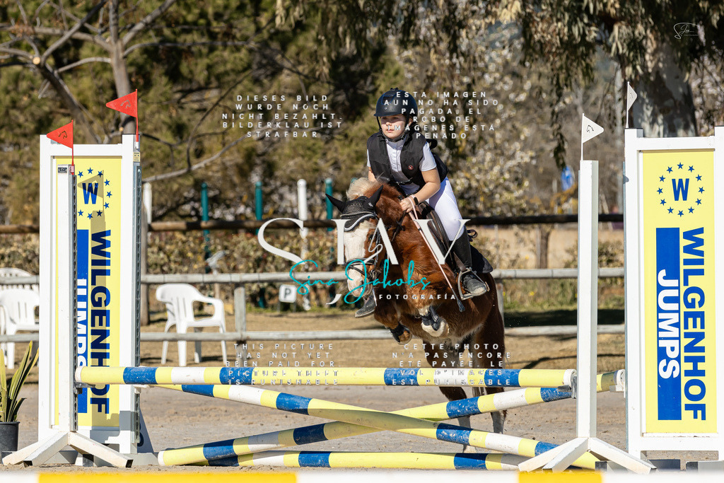 IMG_8141 | s-jay-photography - Realisiert mit Pictrs.com