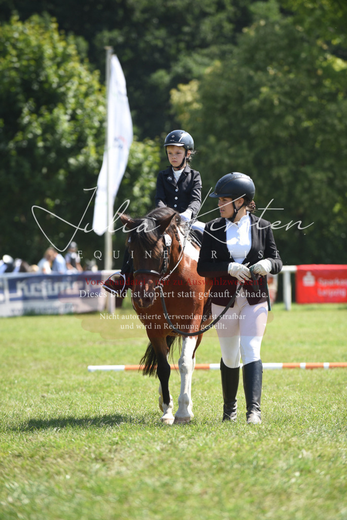 DSC_9812 | Pferde- und Turnierfotografie in Westsachsen. Pferdeportraits, Auftragszeichnungen und intuitive Kunst.