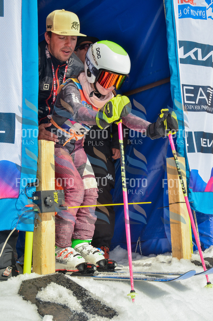 _ELE4914 | holidayphoto