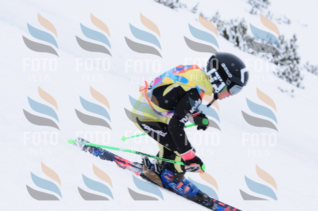 C2259 | holidayphoto