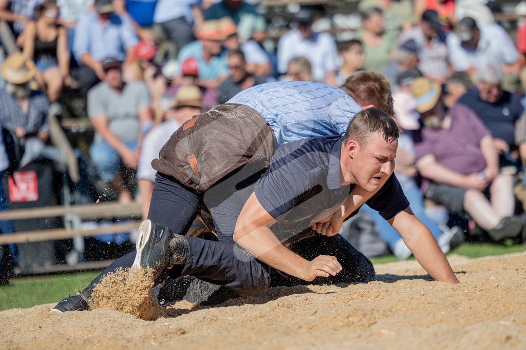 HSiebnen2026_5G_00089 | Die Schwinger des Schwyzer Kantonalen Schwingerverbandes: Fotos, die Dynamik und Leidenschaft festhalten, sowie emotionale Momente aus dem traditionellen Schwingsport zeigen. - Realisiert mit Pictrs.com