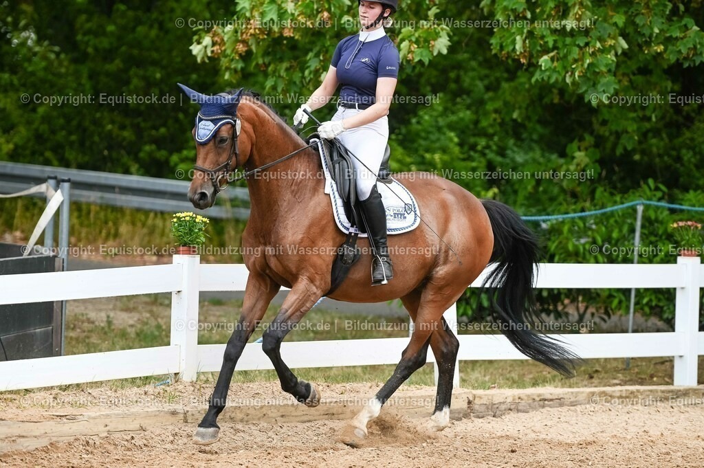 20230715_05_Dressurprüfung Kl.A++_0109 | equistock