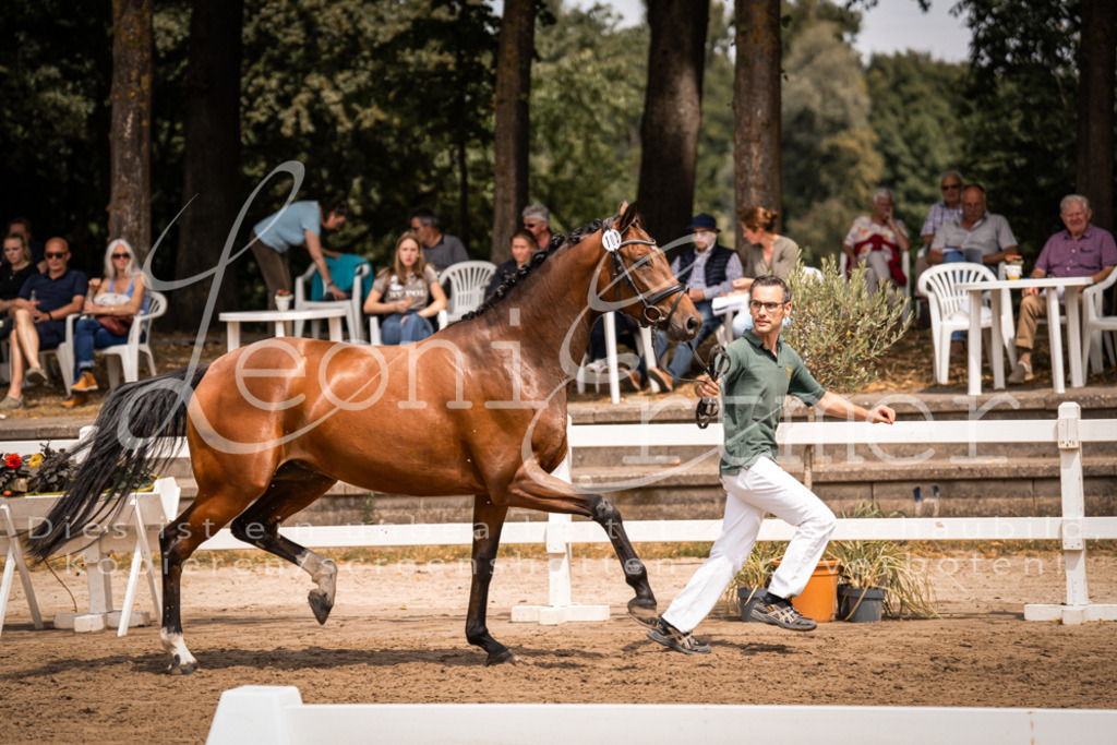 2. Fr00057 | Leoni Ertmer Photography - Realisiert mit Pictrs.com