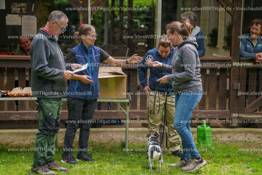 @allesWIRTHgut_Tierfotografie - www.allesWIRTHgut.de - 114545-7R508494 | Professionelle Tierfotografie in Mönchengladbach von Daniel Wirth (allesWIRTHgut). Liebevolle & natürliche Bilder von Hunden & Katzen für unvergessliche Erinnerungen.
