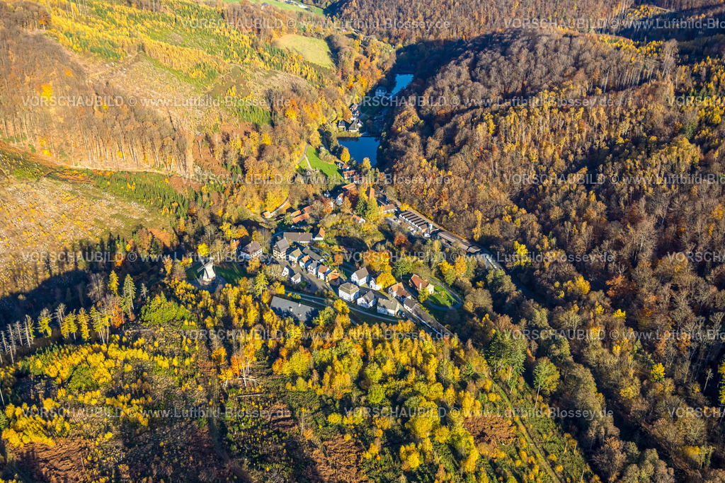 Hagen251103642 | Luftbild, LWL-Freilichtmuseum-Dorf und herbstliche Bäume,  Eilpe, Hagen, Ruhrgebiet, Nordrhein-Westfalen, Deutschland