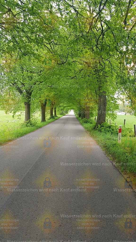 20190514_145056 | Fotoseite Wolkenblende - Das Hobby fotografieren begleitet mich schon  viele  Jahre. Auf den nächsten Seiten zeige ich ein paar Schnappschüsse der letzten Jahre und es kommen immer neue hinzu. Schau einfach mal rein. - Realisiert mit Pictrs.com