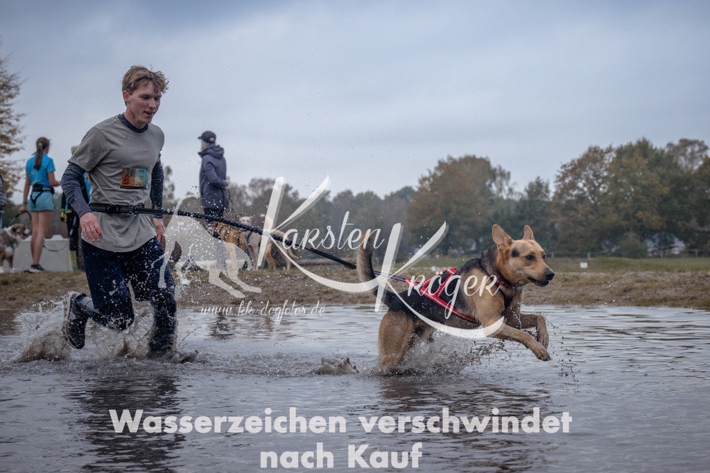 1148_ZZ96753 | kk-dogfotos