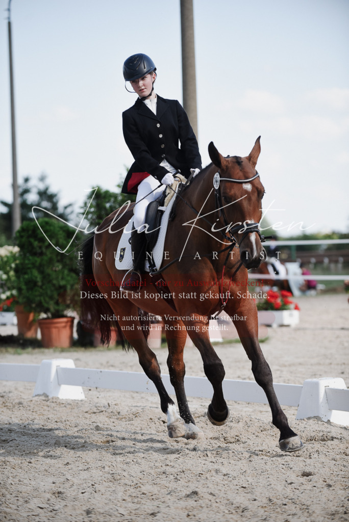 DSC_9952 | Pferde- und Turnierfotografie in Westsachsen. Pferdeportraits, Auftragszeichnungen und intuitive Kunst.