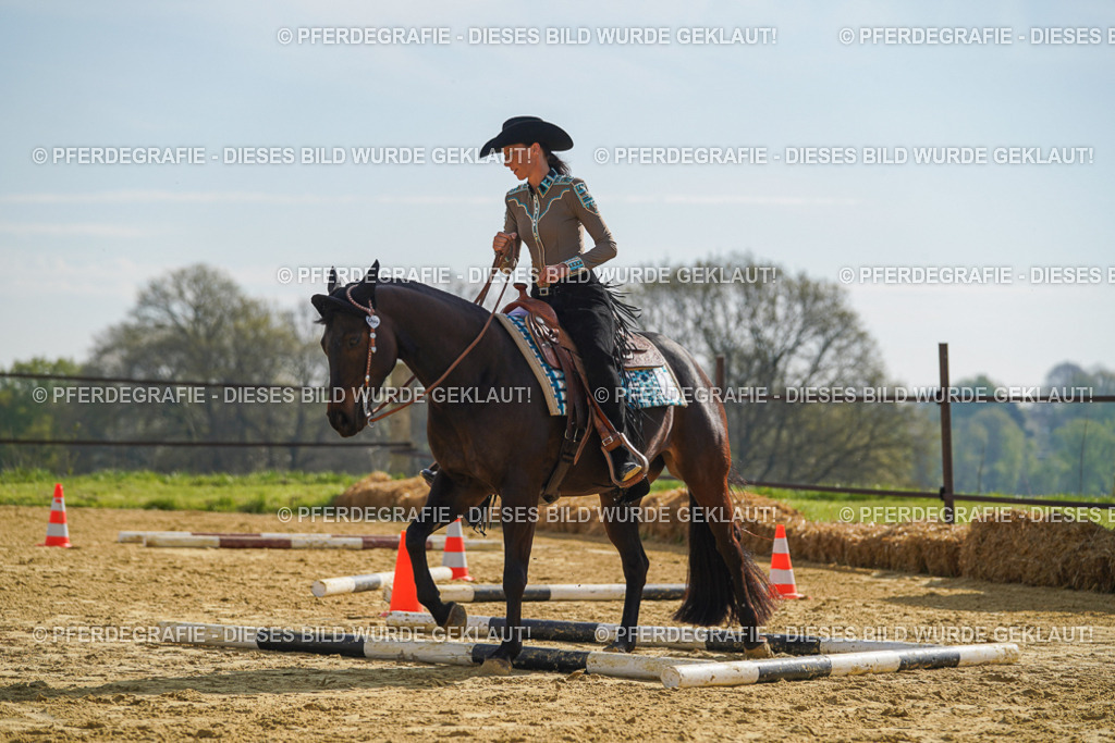 DSC01344 | Pferdegrafie