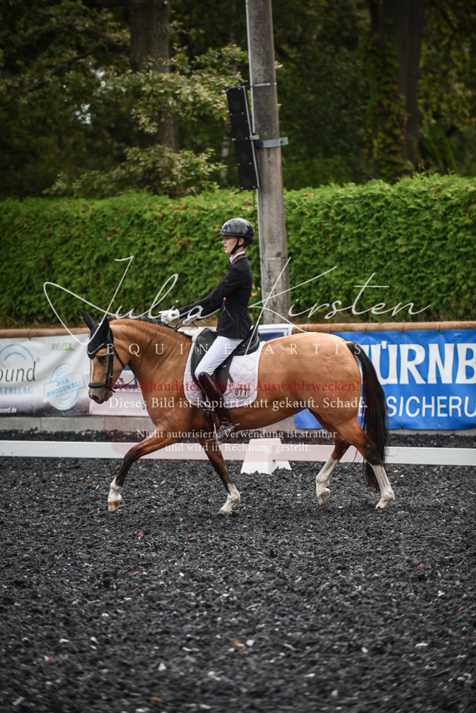 DSC_4423 | Pferde- und Turnierfotografie in Westsachsen. Pferdeportraits, Auftragszeichnungen und intuitive Kunst.