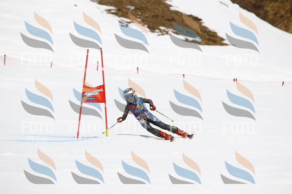 _U3G6549 | holidayphoto