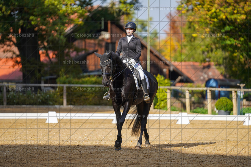 20221007-FAH00034 | Diessen am Ammersee, 2022, Dressur- und Springturnier, Reitsportbilder, Turnierfotografen Bayern, Pferdefotografen, Fotoagentur Herrmann, Turnierbilder