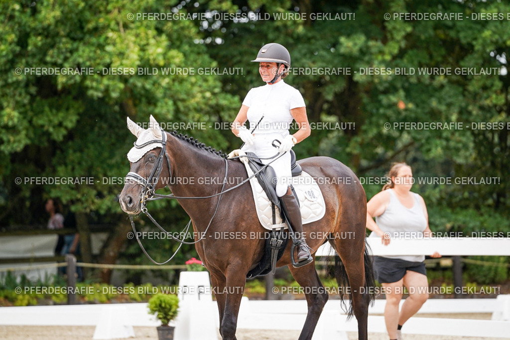 DSC06440 | Pferdegrafie