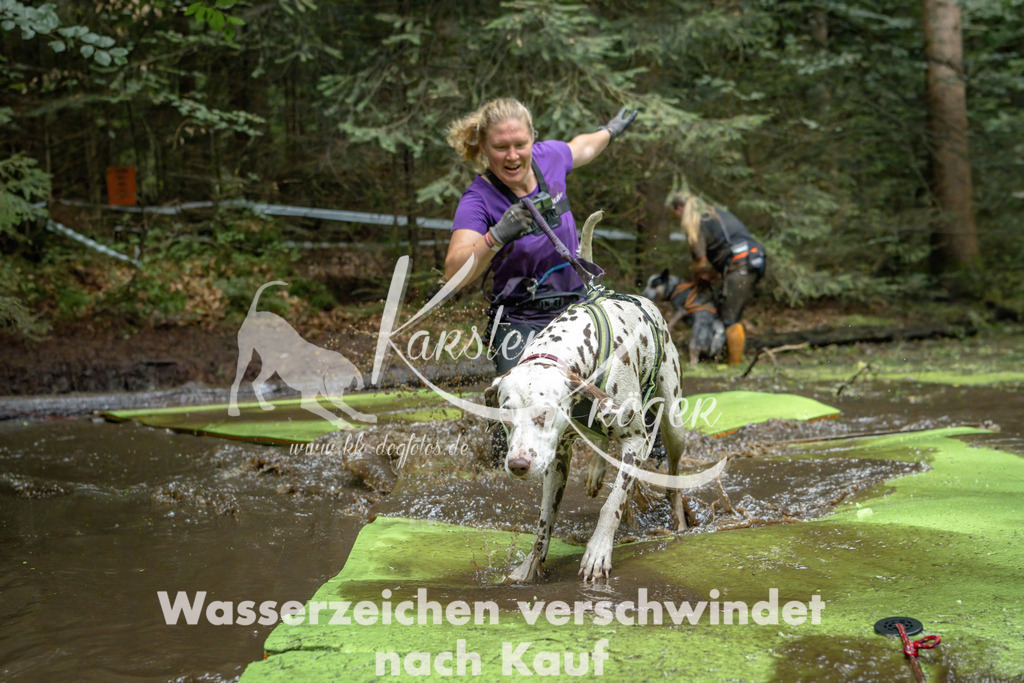 1530_ZZ91007-Bearbeitet | kk-dogfotos