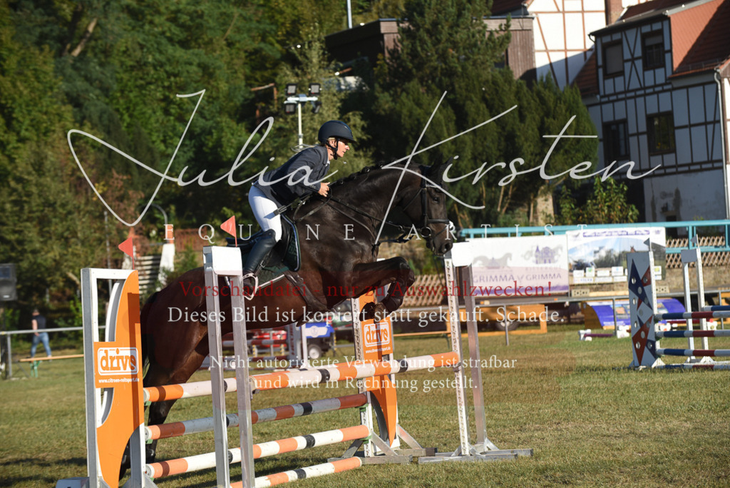 DSC_4950 | Pferde- und Turnierfotografie in Westsachsen. Pferdeportraits, Auftragszeichnungen und intuitive Kunst.