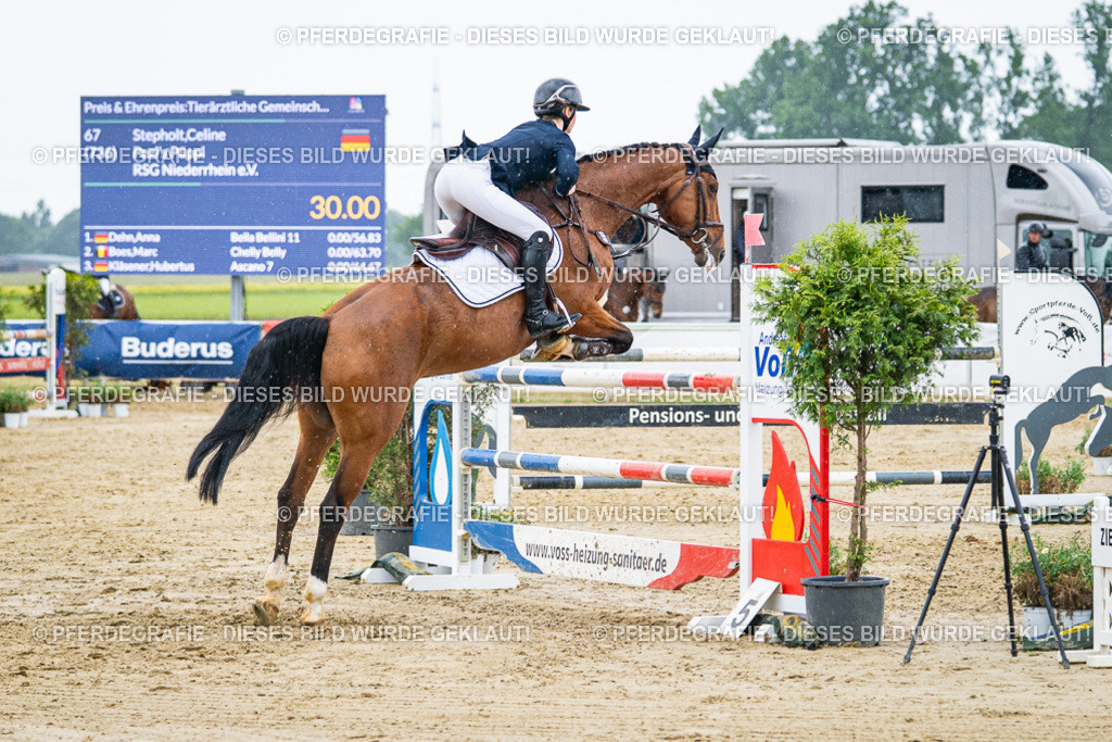 DSC08755 | Pferdegrafie