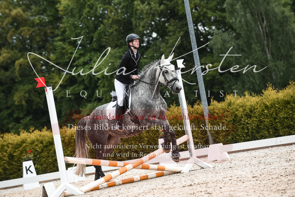 20230518_JK-Röhrsdorf-10-420 | Pferde- und Turnierfotografie in Westsachsen. Pferdeportraits, Auftragszeichnungen und intuitive Kunst.