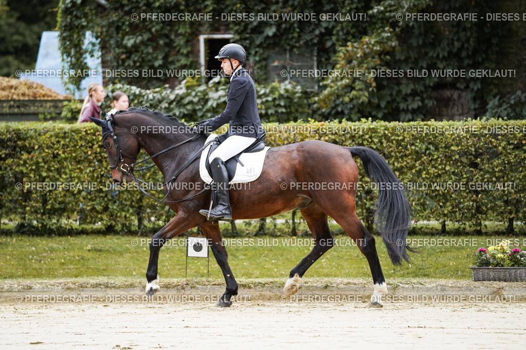 DSC04328 | Pferdegrafie