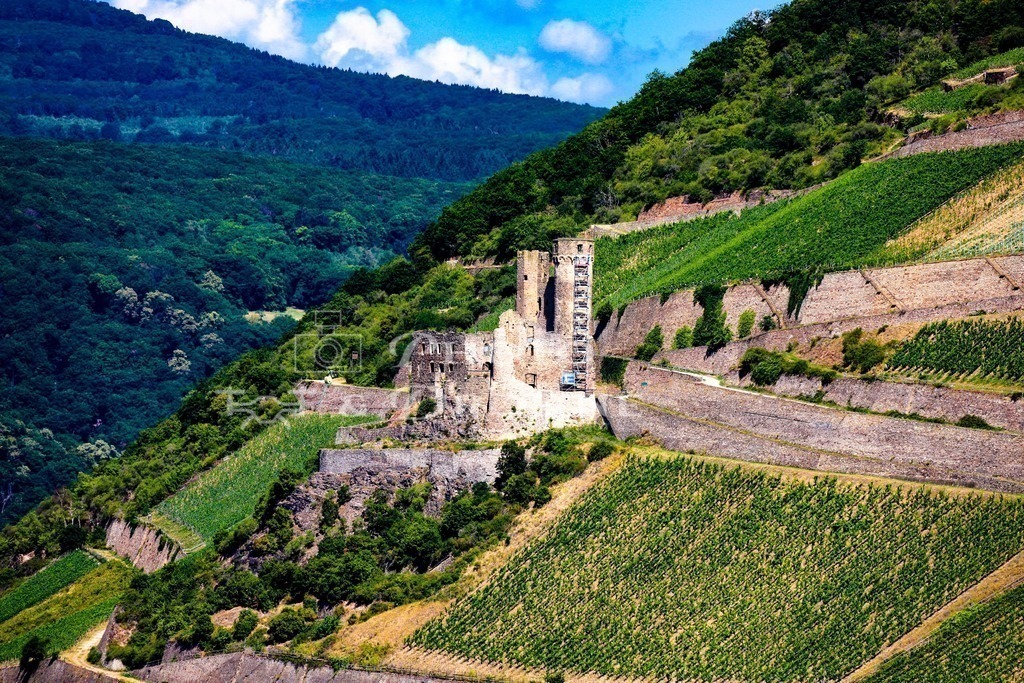Ehrenfels- | Die Ruine der Burg Ehrenfels bei Rüdesheim - Realisiert mit Pictrs.com