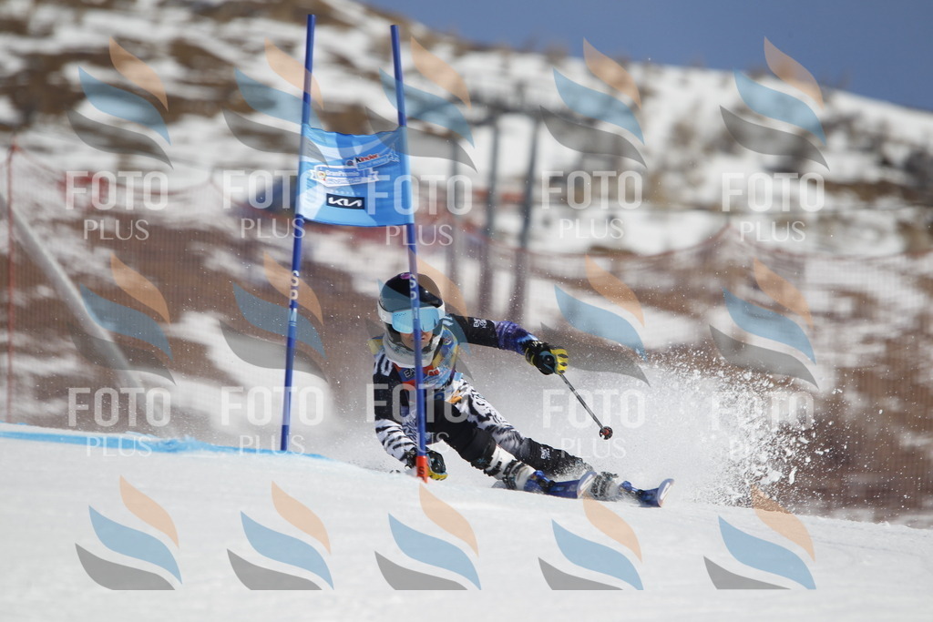 _U3G9163 | holidayphoto