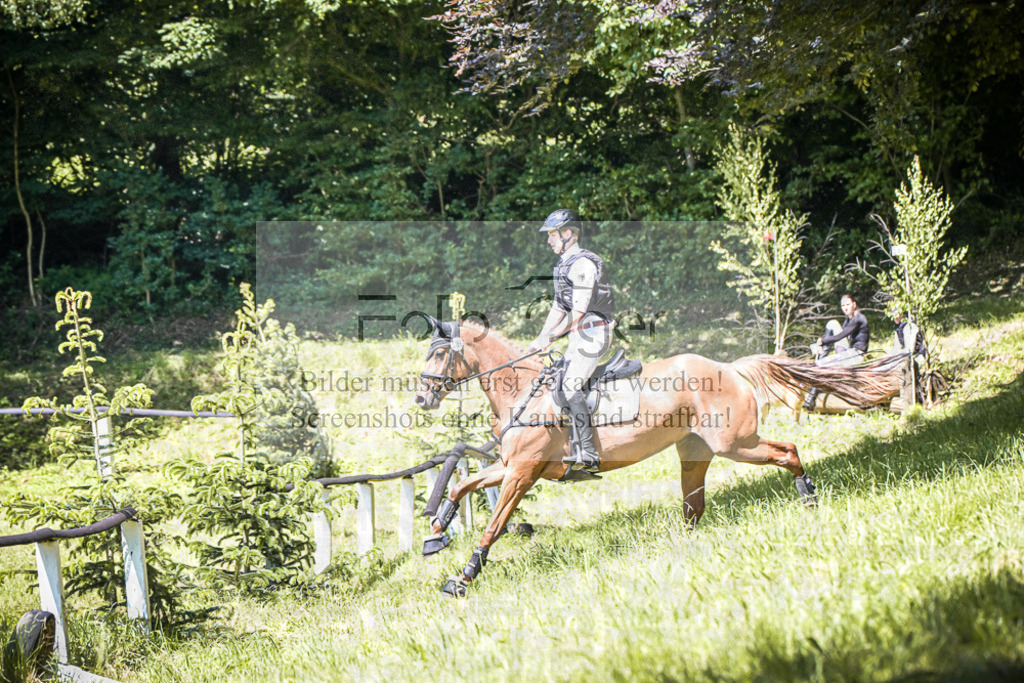 DOS_2374 | Entdecke hochwertige Reitturnierfotos von Foto Oger. Professionell, emotional und authentisch – jetzt Lieblingsmomente im Shop bestellen.Deutschlandweite Turnierfotografie. - Realisiert mit Pictrs.com