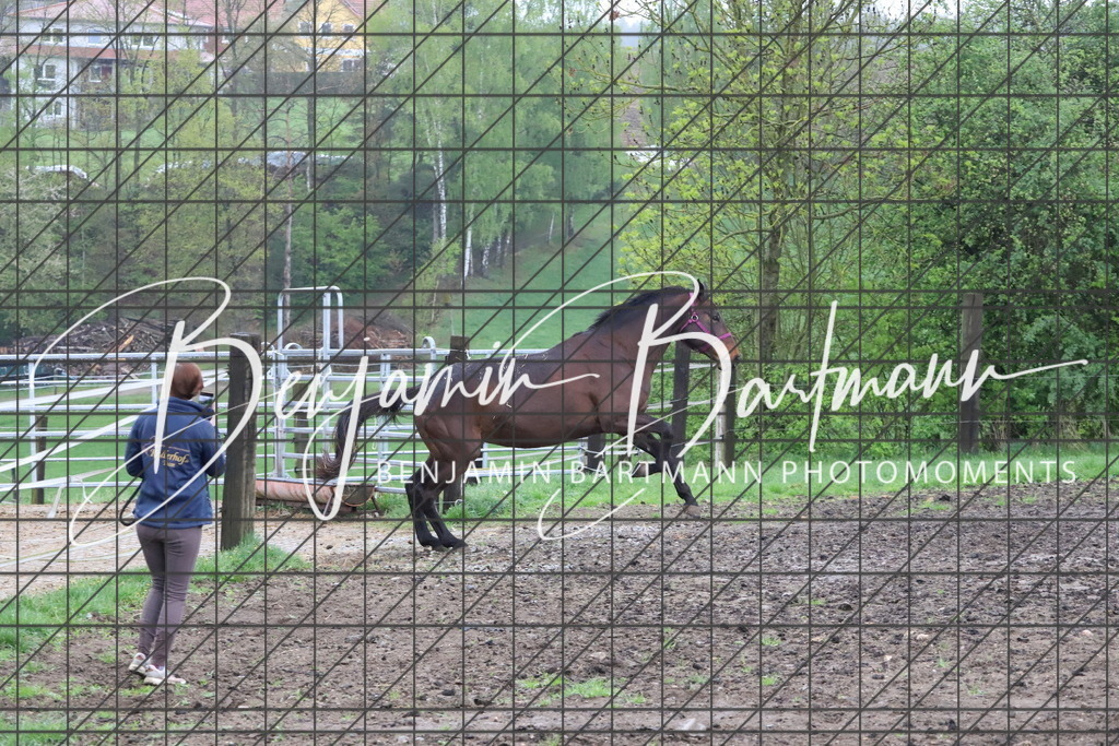 IMG_4250 | Benjamin Bartmann Photomoments