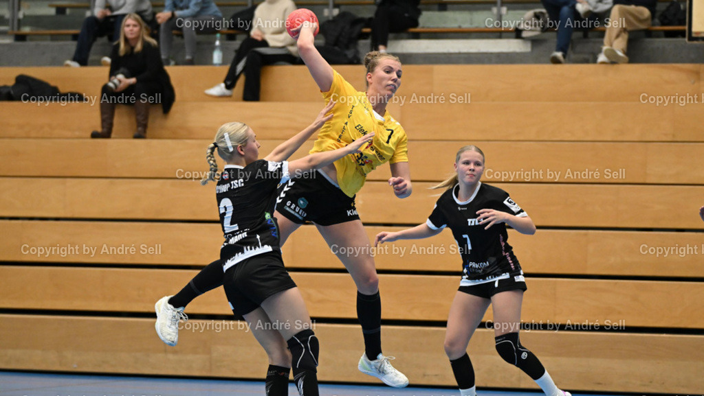 TSV Altenholz vs Berliner TSC | Jenny Janczek (TSVA #7) / Sophie Fährmann (BTSC #2) &amp; Hannah Wirks (BTSC #7) - Handball 3. Liga Nord Frauen 2024/2025 / TSV Altenholz vs Berliner TSC / Edgar-Meschkat-Halle / Altenholz / 02.11.24 - Realisiert mit Pictrs.com