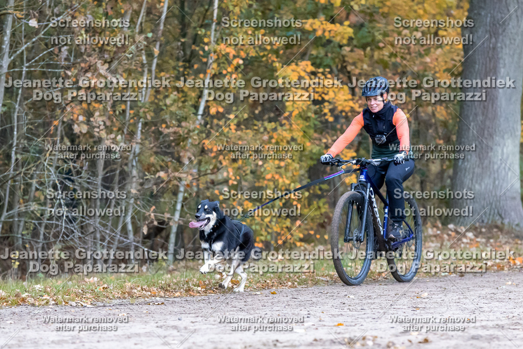 Dog Paparazzi - SD CaniX Championship 2025-219 | Dog Paparazzi Jeanette Grottendiek Fotografie & Videografie - Realisiert mit Pictrs.com