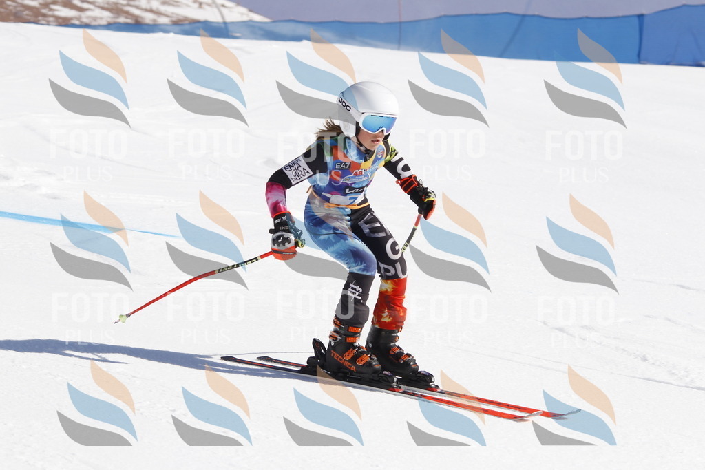 _U3G8616 | holidayphoto