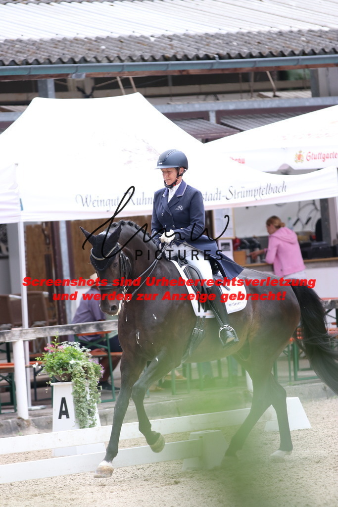 IMG_9746 | lmwpictures - Realisiert mit Pictrs.com