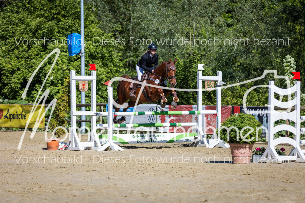 Donop24-A2Spr-135 | MomenTaufnahmen Pferdesportfotos