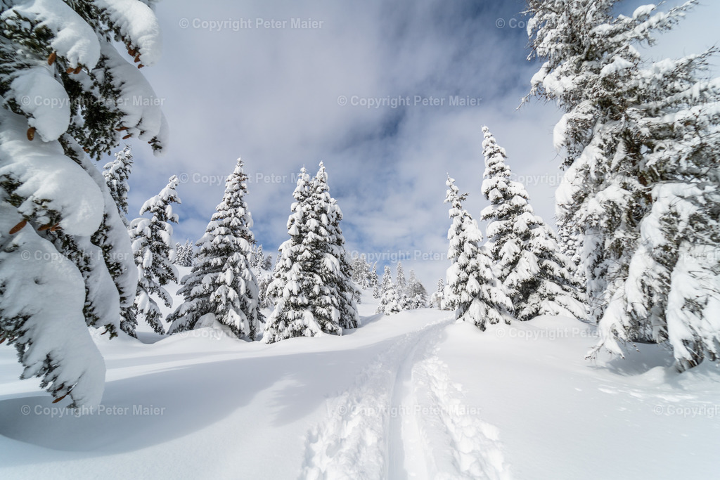 Skitour_Winklerner_Alm-15 | piet_flosse