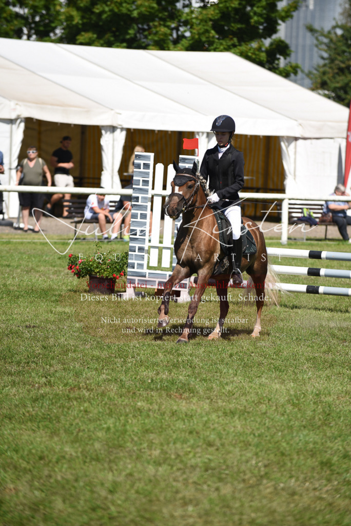 DSC_9461 | Pferde- und Turnierfotografie in Westsachsen. Pferdeportraits, Auftragszeichnungen und intuitive Kunst.