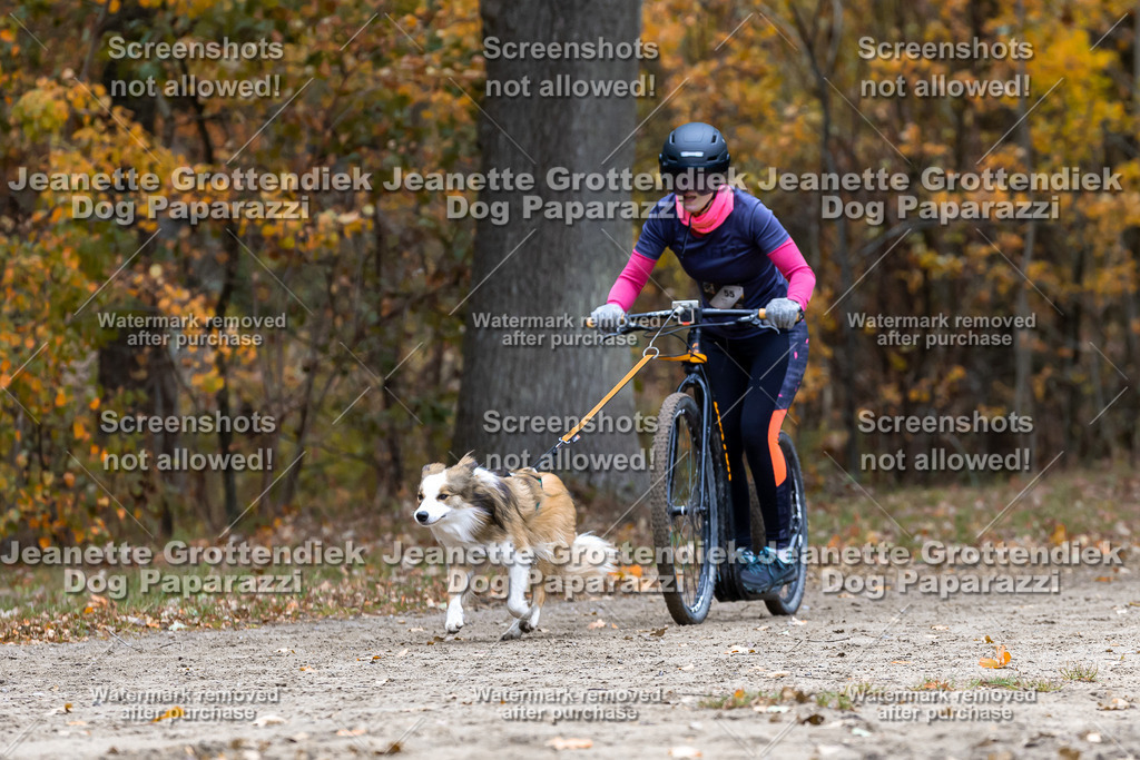 Dog Paparazzi - SD CaniX Championship 2025-571 | Dog Paparazzi Jeanette Grottendiek Fotografie & Videografie - Realisiert mit Pictrs.com