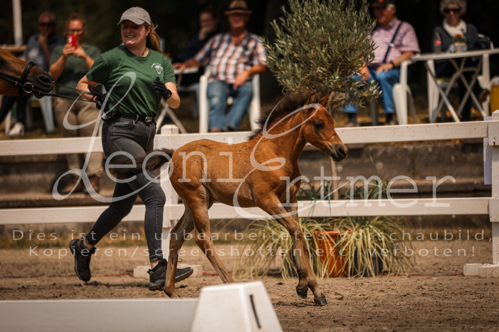 02.DoSR00099 | Leoni Ertmer Photography - Realisiert mit Pictrs.com