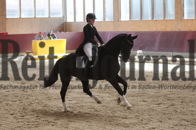 Balingen_2025_Sichtungsturnier_Junge Reiter_Dressurprfg.Kl.S_Martha Marhoun_Goldmarie 61 (20) | Alle Fotos der Reiterjournal Fotografin Doris Matthaes im Reiterjournal Online-Fotoshop. - Realisiert mit Pictrs.com