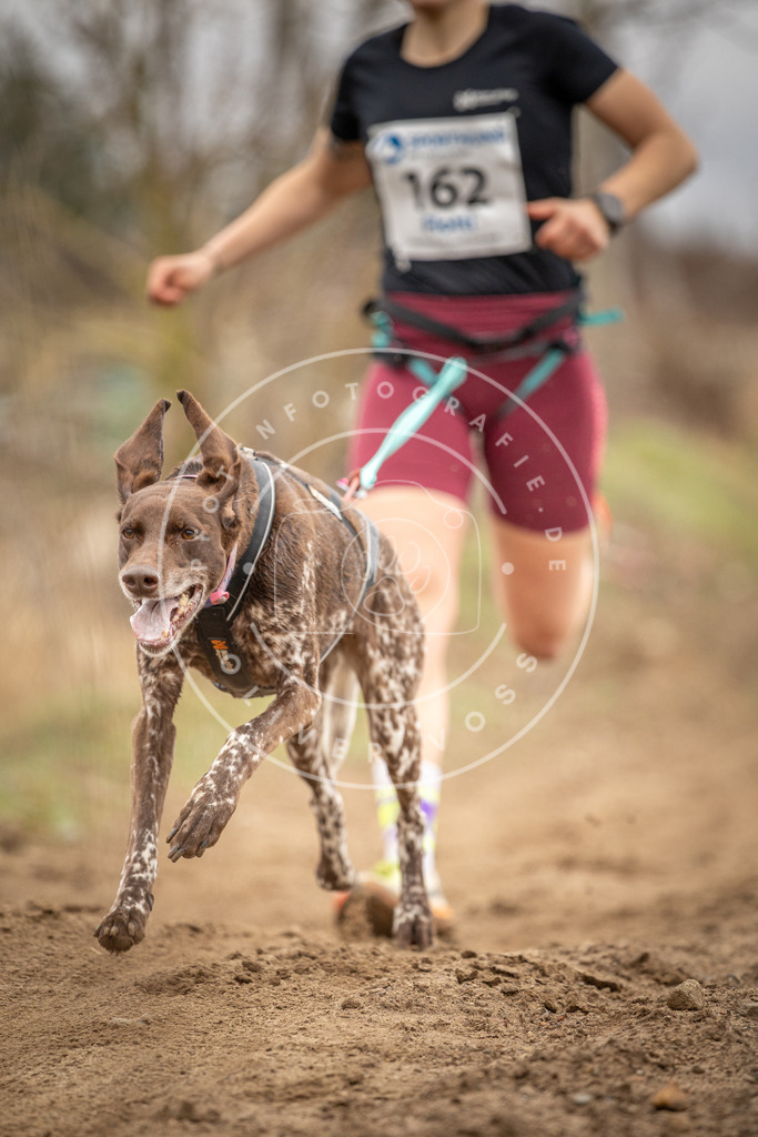 DV3A1780 | Hundefotografie, Tierfotograf, Pfotenfotografie, Fotoshooting Hund, Hunde Portrait, Hundesport, Hundeportraits, Heideshooting, Hunde, Sportfotograf, Hundefotograf, Turnierhundsport, THS,  - Realisiert mit Pictrs.com