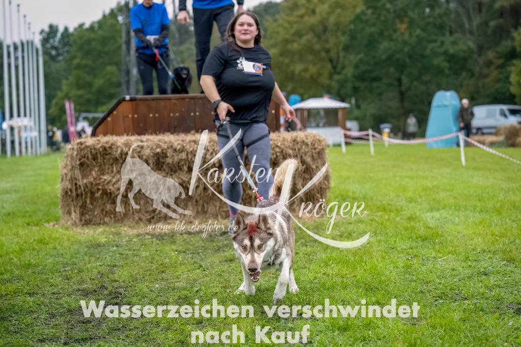 1029--10 | kk-dogfotos