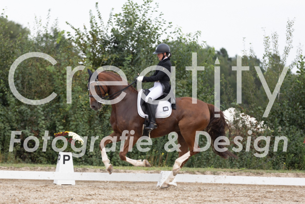 IMG_5715 | Creatify Fotografie