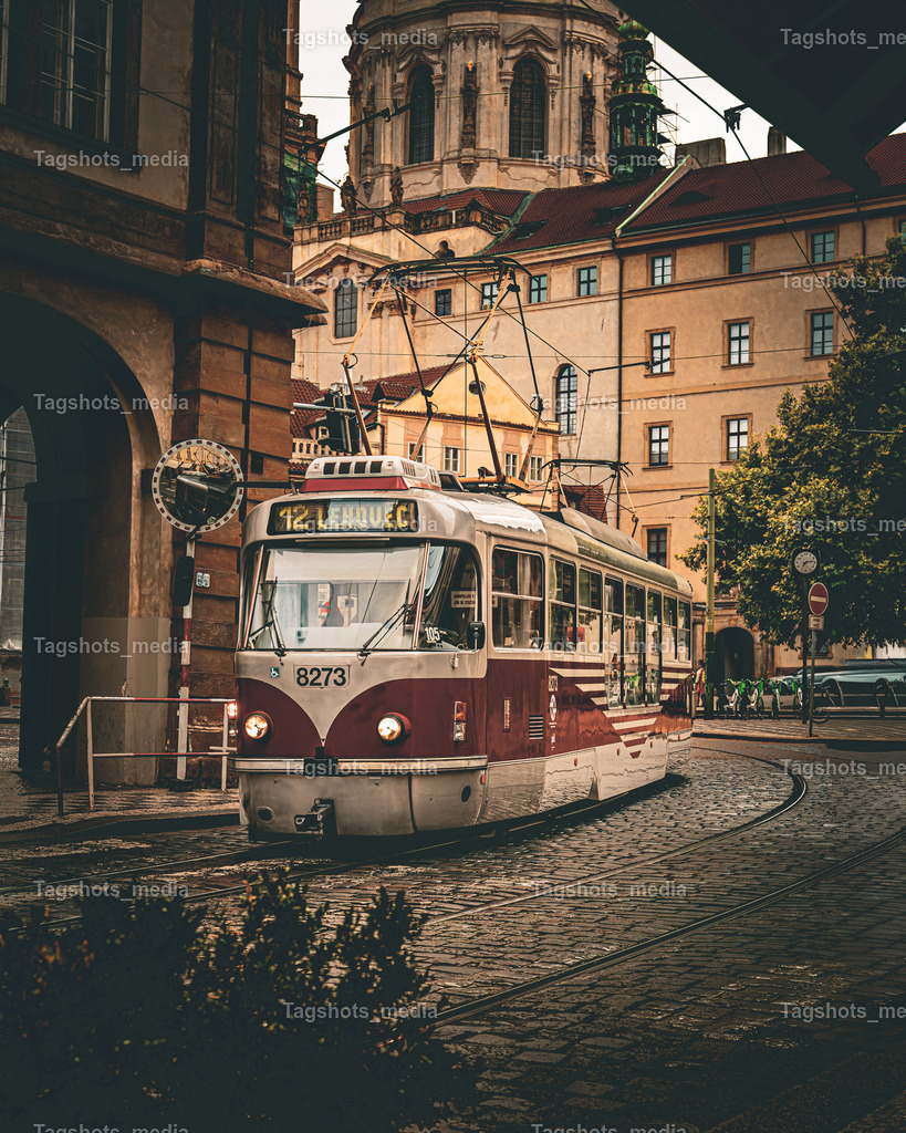 A7506571 | tagshotsmedia - Realisiert mit Pictrs.com