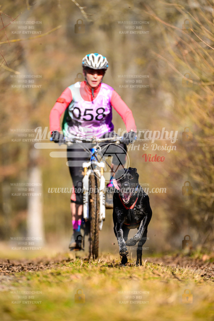 MompixPhotography_Schwabentrail2025_SO_Bike-72 | PayLife