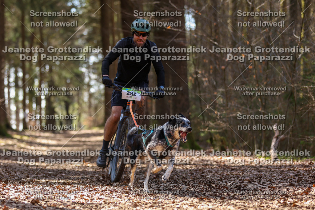 Dog Paparazzi - VCC26-1362 | Dog Paparazzi Jeanette Grottendiek Fotografie & Videografie - Realisiert mit Pictrs.com