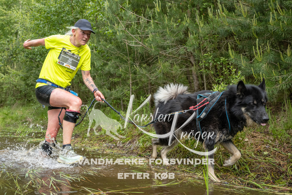 1029DKK992644 | kk-dogfotos