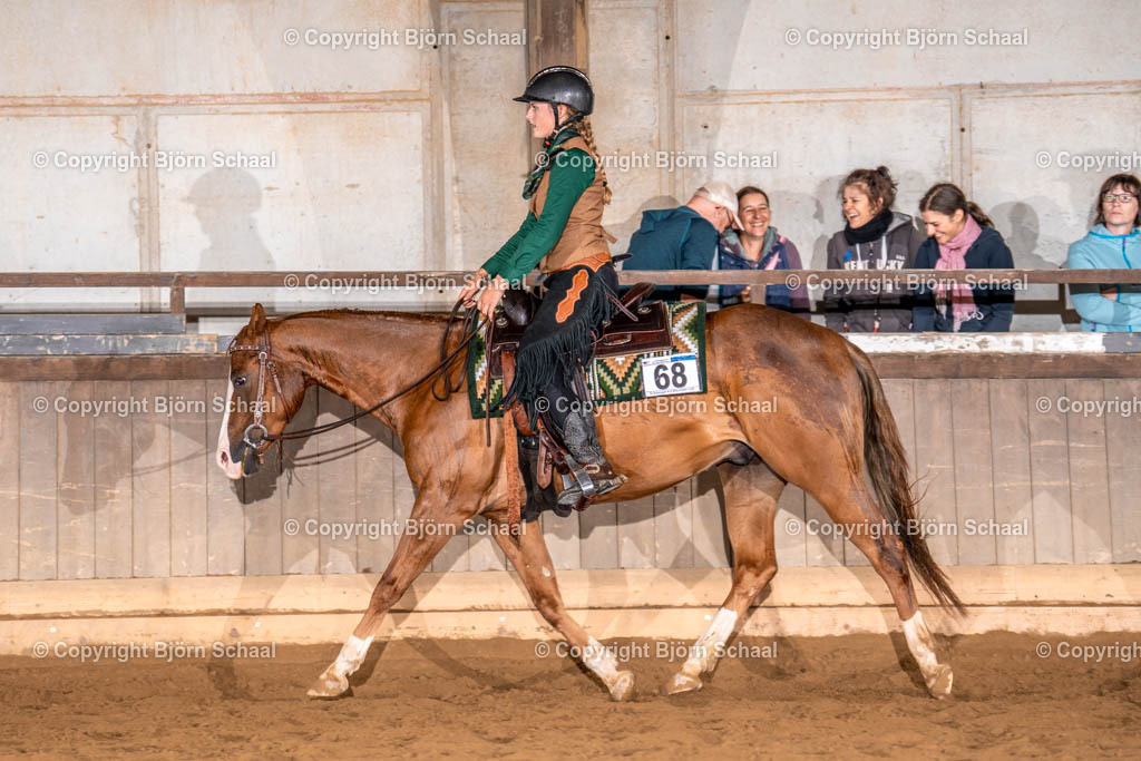 LMS00919 | BS-foto
