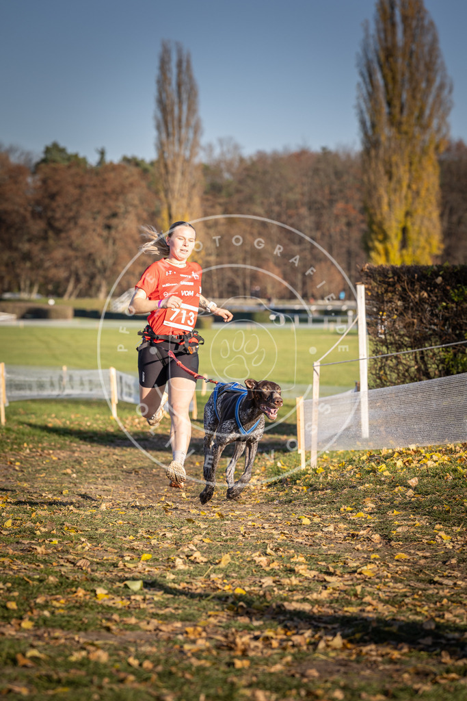 CaniXpix_DV3A1694 | Hundefotografie, Tierfotograf, Pfotenfotografie, Fotoshooting Hund, Hunde Portrait, Hundesport, Hundeportraits, Heideshooting, Hunde, Sportfotograf, Hundefotograf, Turnierhundsport, THS,  - Realisiert mit Pictrs.com